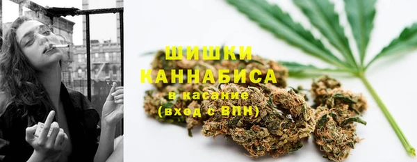 трава Аркадак