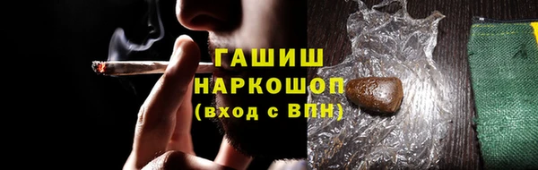 стаф Арсеньев