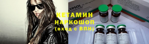 трава Аркадак