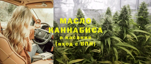 стаф Арсеньев
