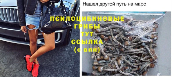 стаф Арсеньев