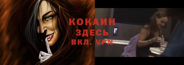 стаф Арсеньев
