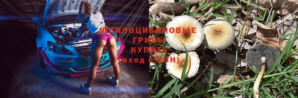 трава Аркадак