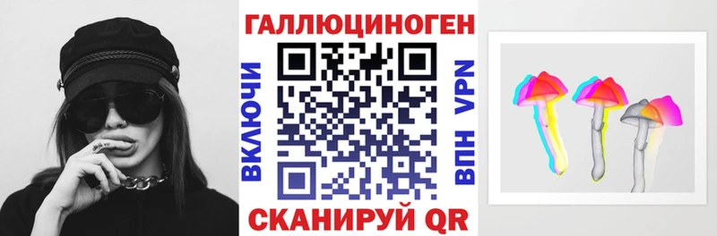дарнет шоп  Медногорск  Псилоцибиновые грибы мицелий 